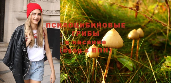 стафф Алексеевка