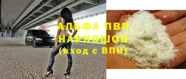 прущие грибы Абаза