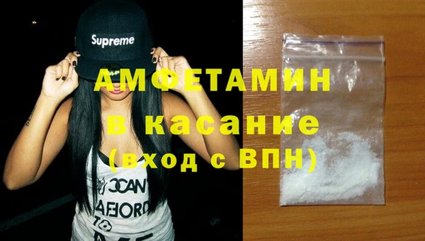 прущие грибы Абаза