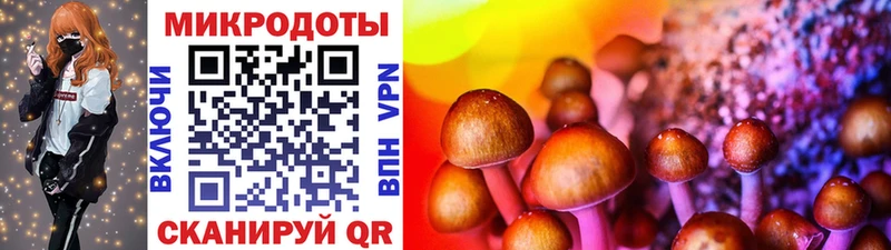 Галлюциногенные грибы Psilocybine cubensis наркотики Ачхой-Мартан